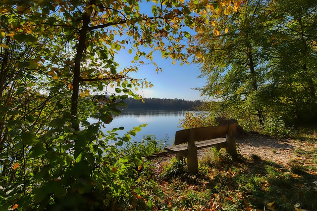 适时推出 适时推出