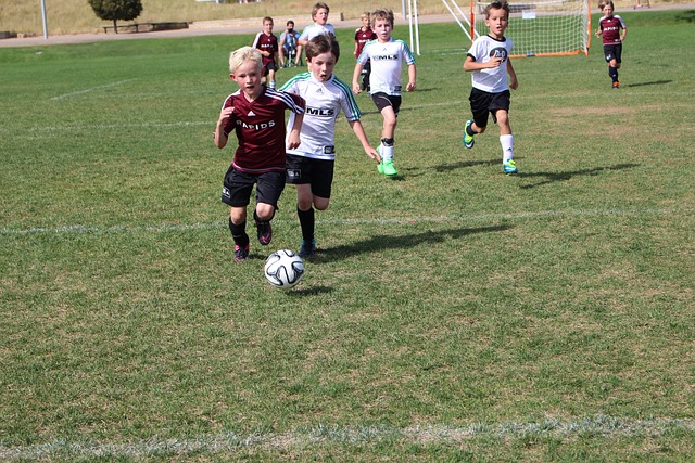 建队伍所亟 建队伍所亟