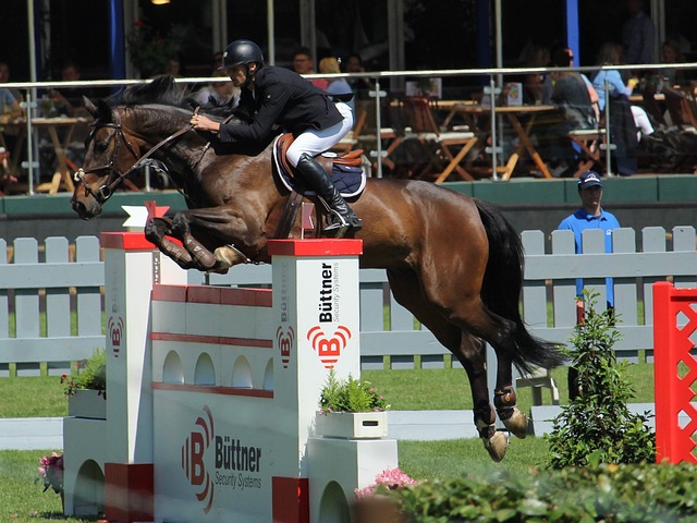 传递了清晰 传递了清晰