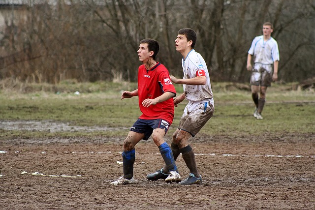 可望而不可 可望而不可