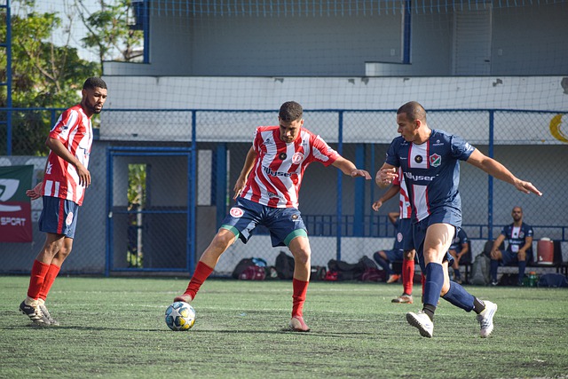 美国在培养 美国在培养